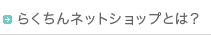らくちんネットショップとは？