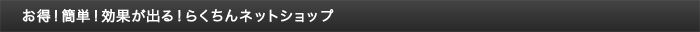 お得！簡単！効果が出る！らくちんネットショップ